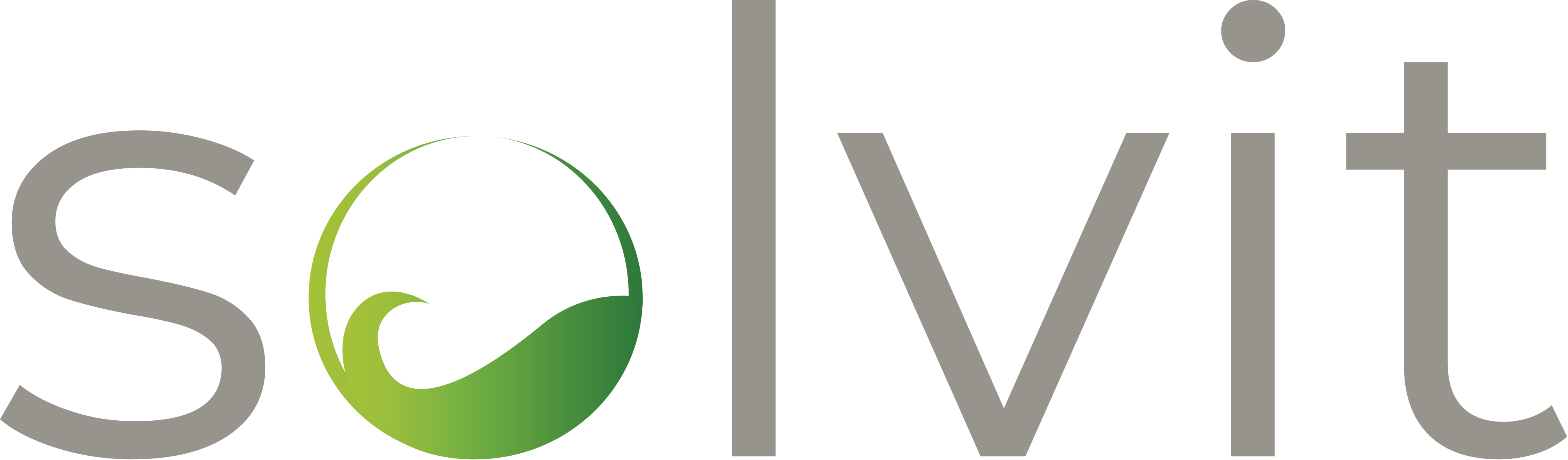 solvit GmbH