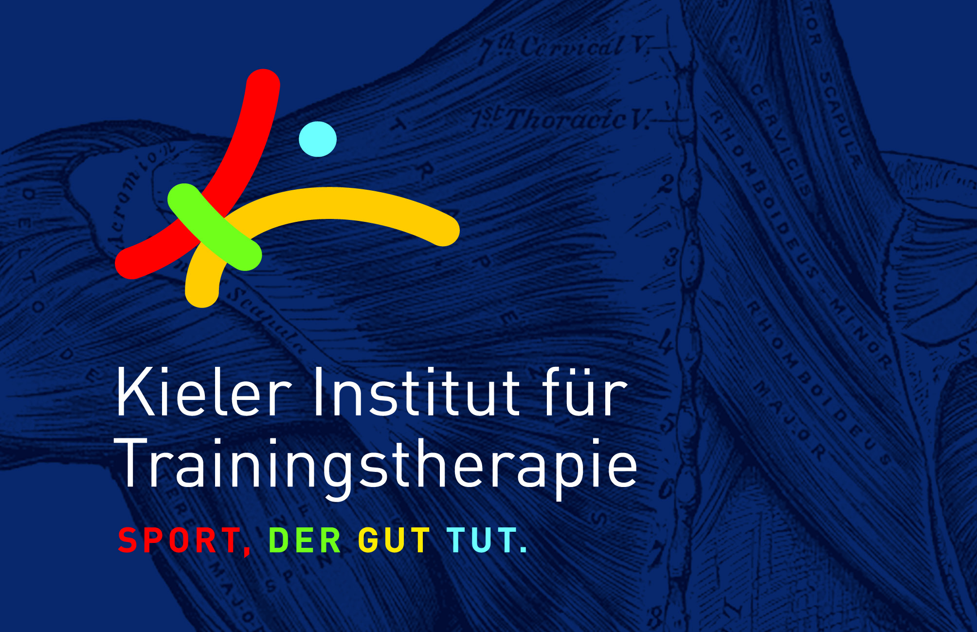 Kitt Kieler Institut für Trainingstherapie e.V.